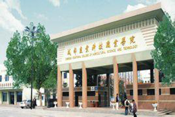技校學(xué)什么專業(yè)